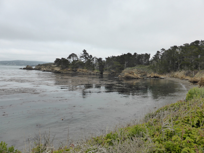 Point Lobos coast