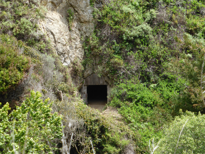 Tunnel to Partington Cove