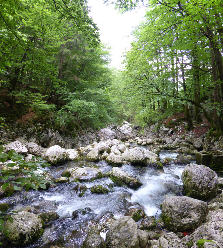 River below Savica Slap
