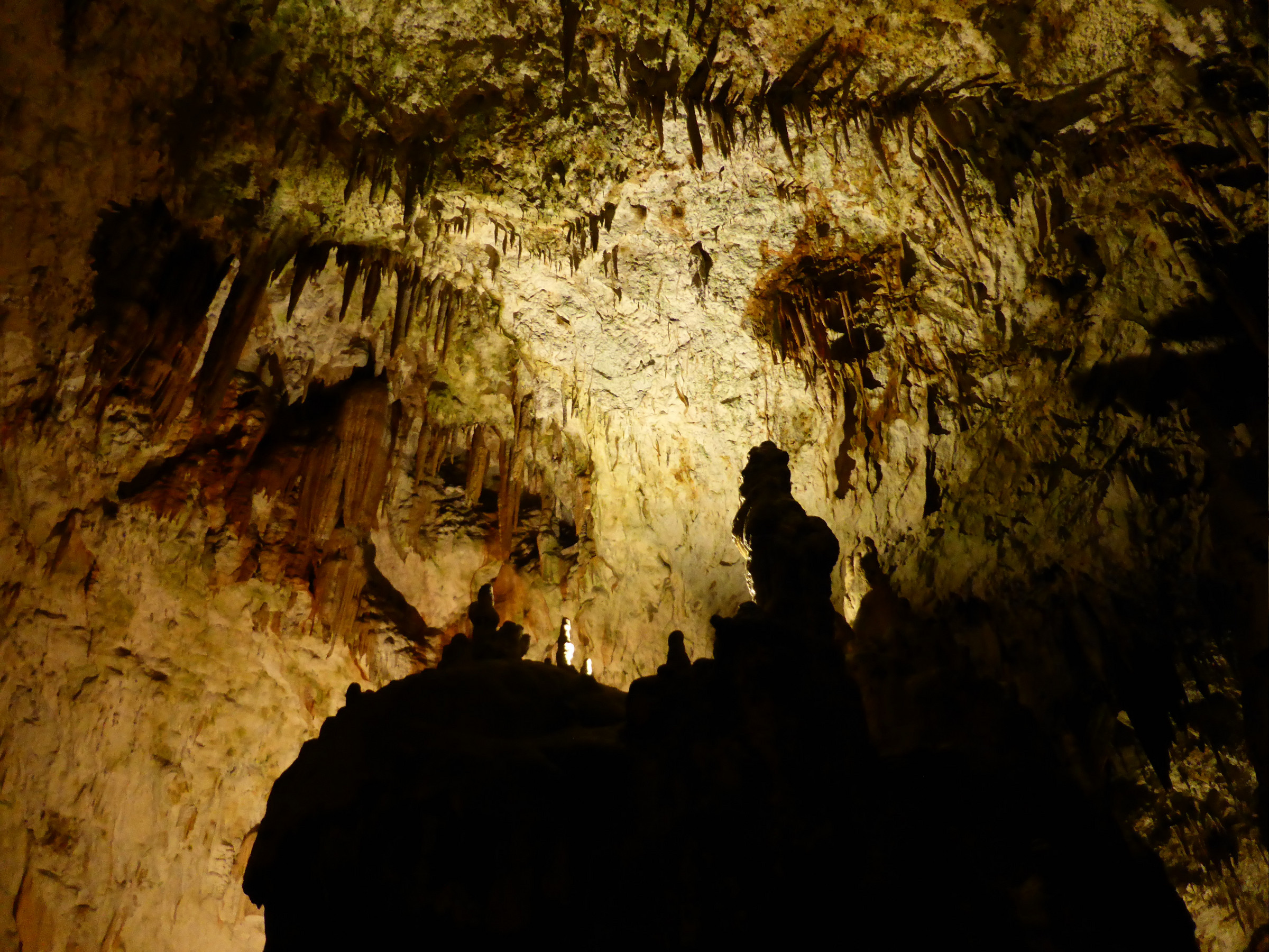 Postojna Cave | Photo