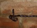 Brown house snake