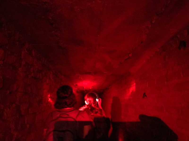 Inside the Hipposideros roost tunnels