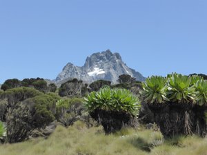 Mt Kenya peaks