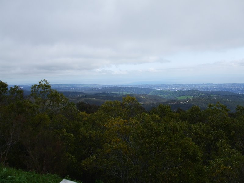View fro Mt. Lofty
