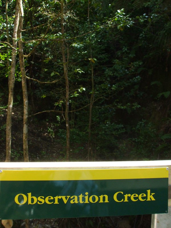 Observation Creek