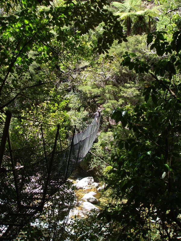 Wainui Falls walk