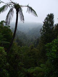 Whangamomona saddle Whangamomona saddle