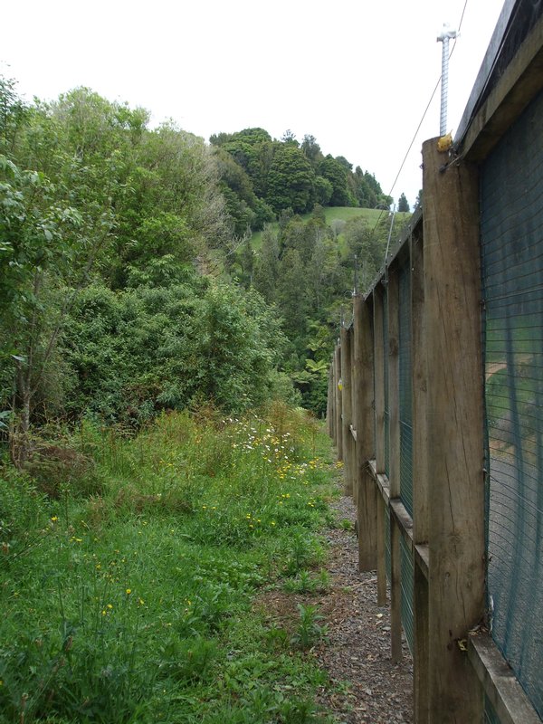 Predator-proof fence