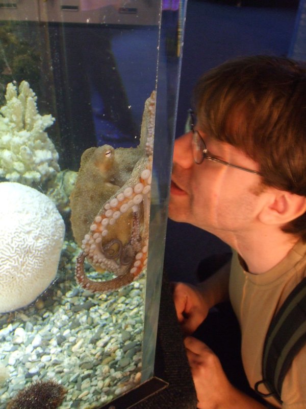 Octopus kiss