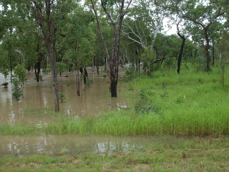 Flooded area