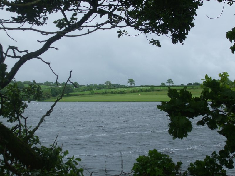 Llys-y-Fran Reservoir
