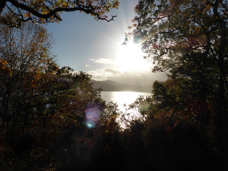 Loch Sunart from salen Oakwood