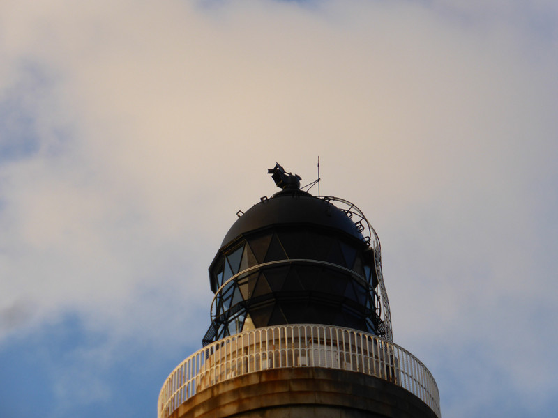 Dodo on the top of the lighthouse!