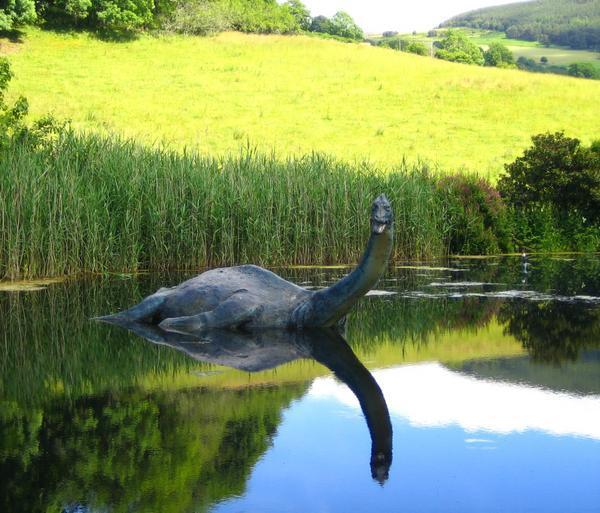 Another Nessie Sighting?