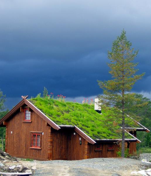 Classic Cabin of Norway