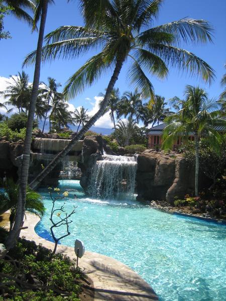 The Waterfall at the Hilton Pool