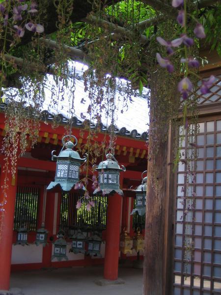Japanese Temple 