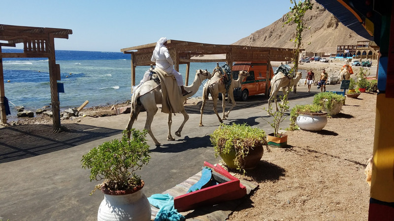 Dahab by the Red Sea