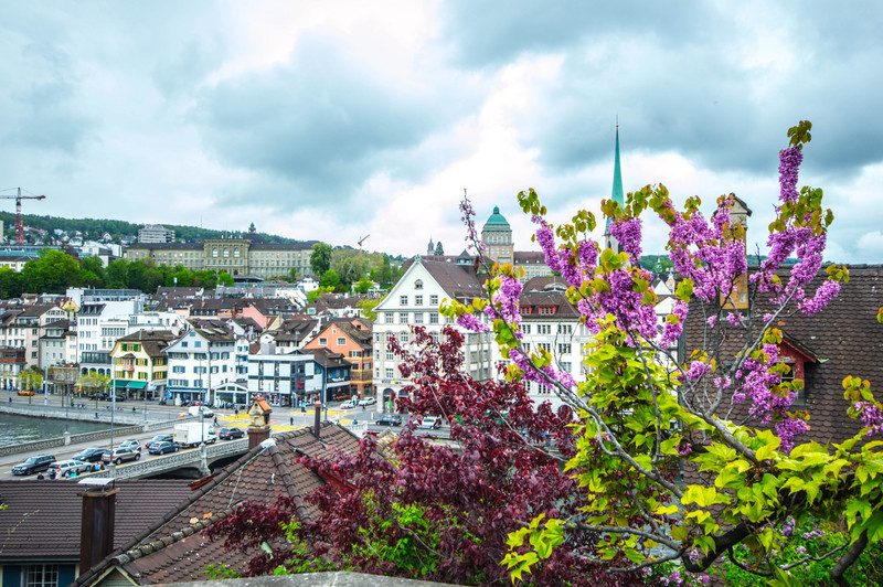 The view from Lindenhof