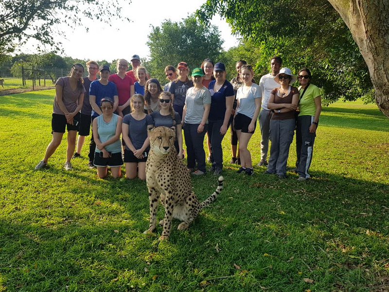 Group B with Moina the Cheetah