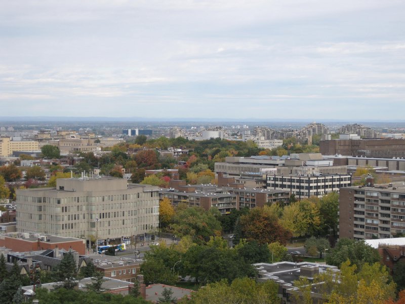 The View from St. Joseph's Oratory