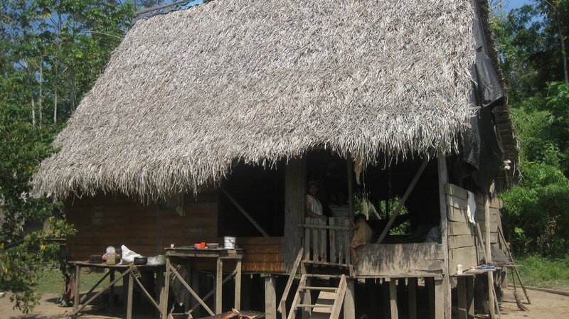 The amazonian home
