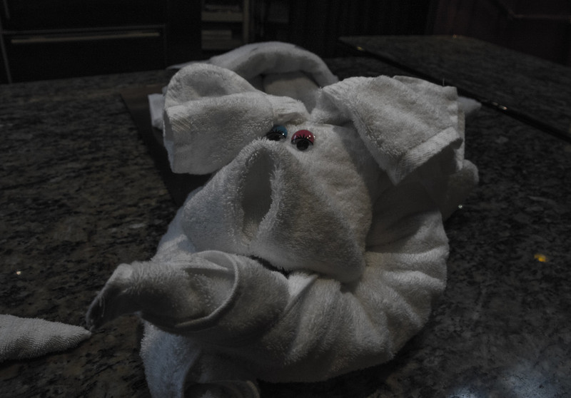 Towel Folding Demonstation