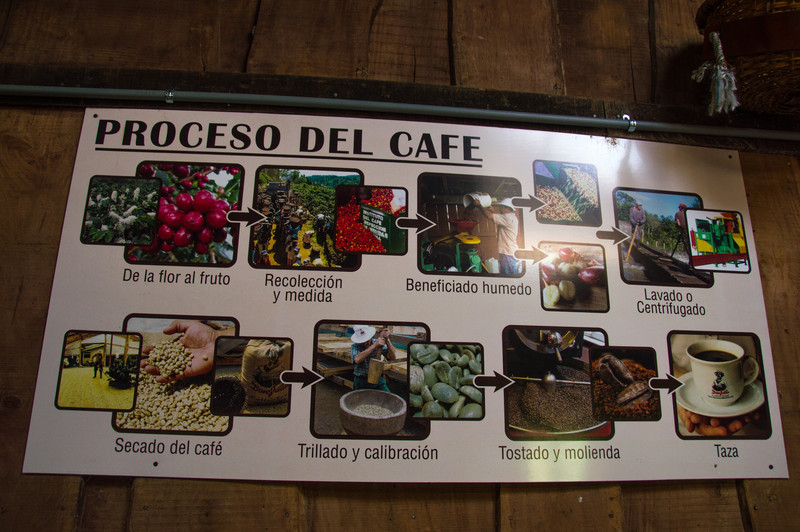 Coffee Tour Monteverde