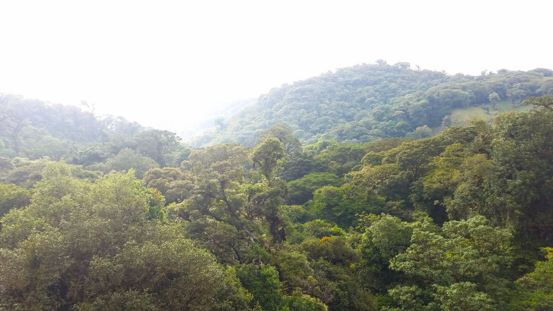 Canopy Tour Monteverde 