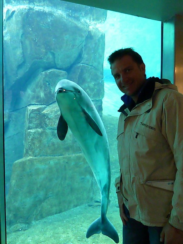 Vancouver aquarium - an inquisitive dolphin