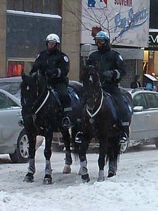 Montreal - mounted police