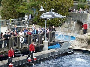Vancouver aquarium - dolphin performance