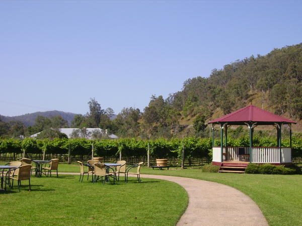 Oreilly's Winery