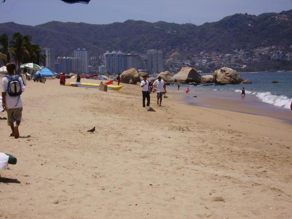 Acapulco Playa 2