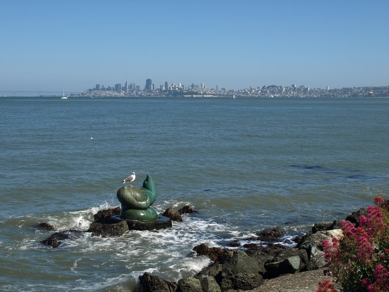 Blick auf San Francisco von Sausalito