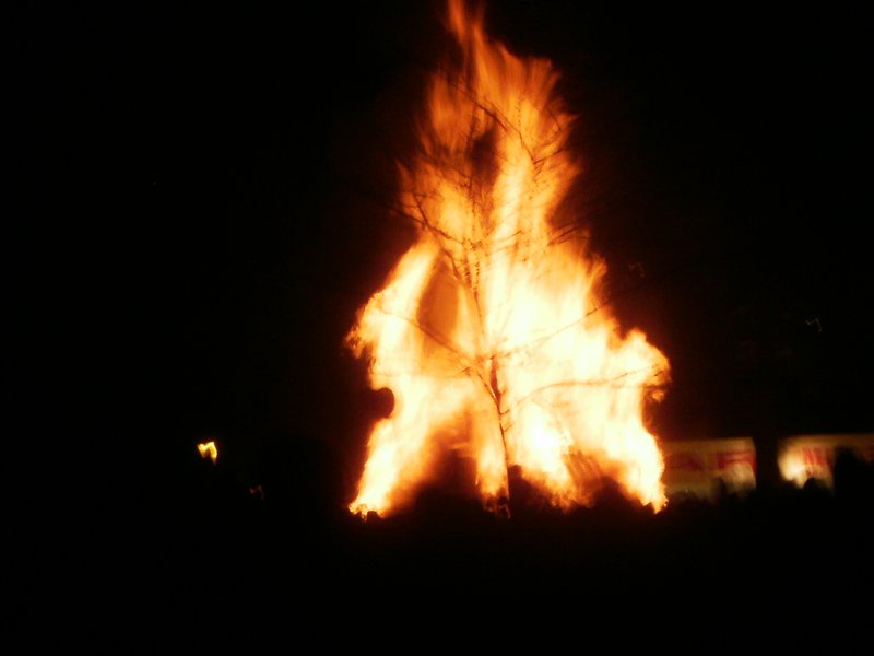 Bonefire - this gives the size no Justice!