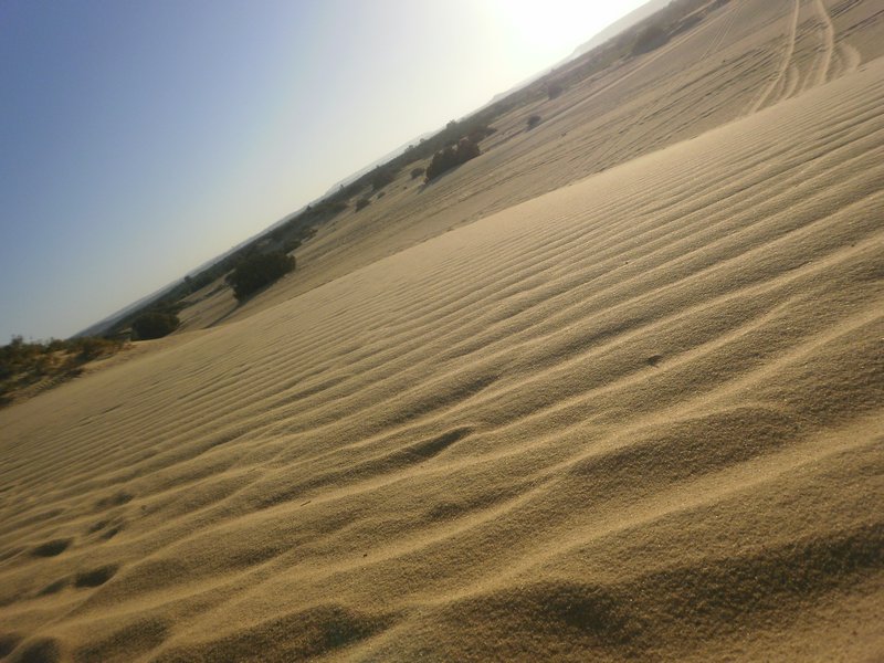 Baharia Oasis
