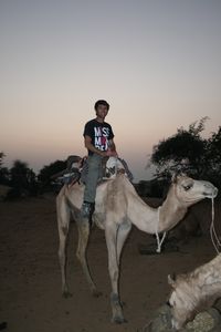 Josh on a camel