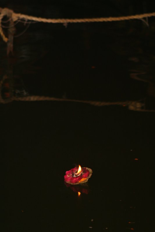 One single lotus flower on the Ganges