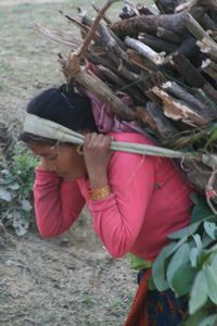 Nepali woman at work