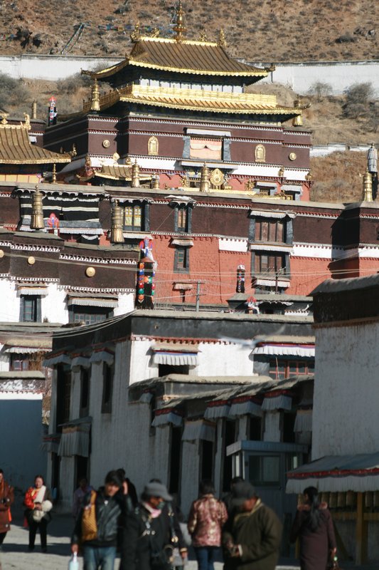 Tashilhumpu Monastery (14)