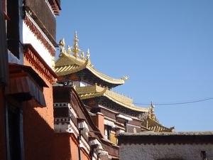 Panchen Lama's Tashilhumpu Monastery (24)