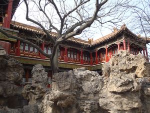 The Garden of the Forbidden City