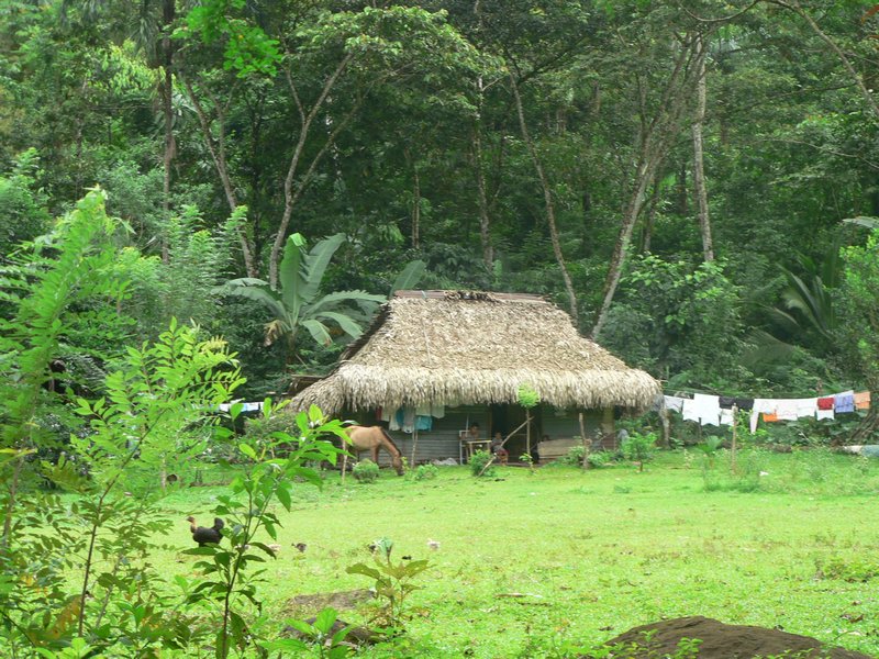 Typical House in Panamanian Countryside