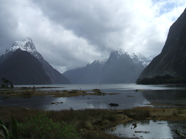 View from beach across Milford Sound