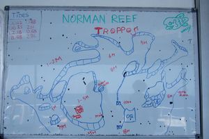 Norman Reef - Troppo's