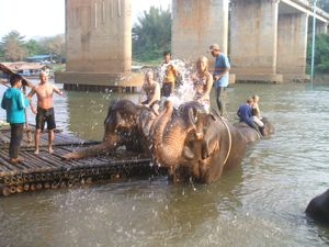 Elephant Swimming
