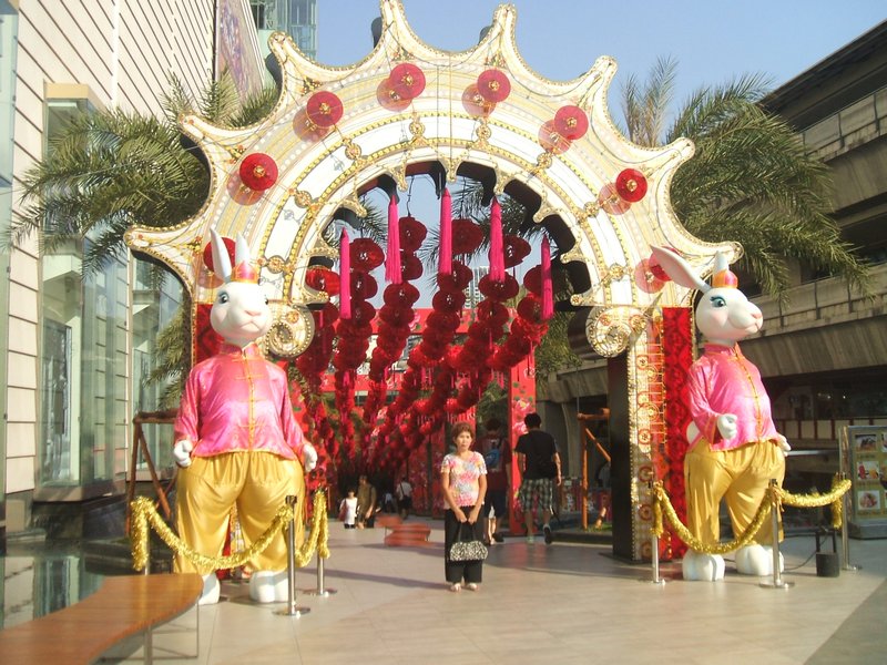 Chinese New Year decorations