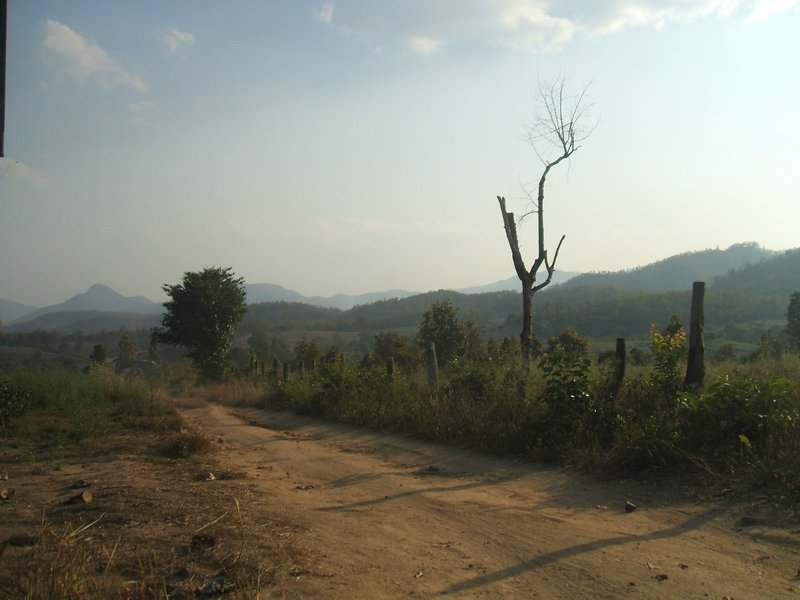 Road back to Pai
