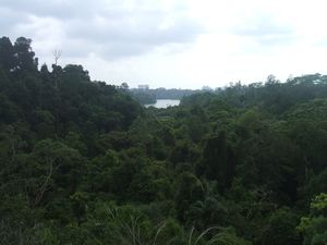 View over reservoir and Singa